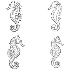 Hand drawn seahorse collection for nautical design art. © Md