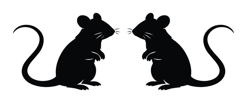 Two black rat silhouettes, standing on hind legs, facing each other, with long tails and whiskers. A minimalist rodent vector illustration for pest control, science, or animal themes.
