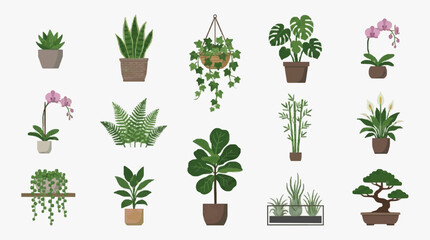 Clean Illustrated Collection of 15 Indoor Plants in Various Pots and Styles for Home Decor with high quality professional line art symbols for modern creative design and digital branding projects © ruu