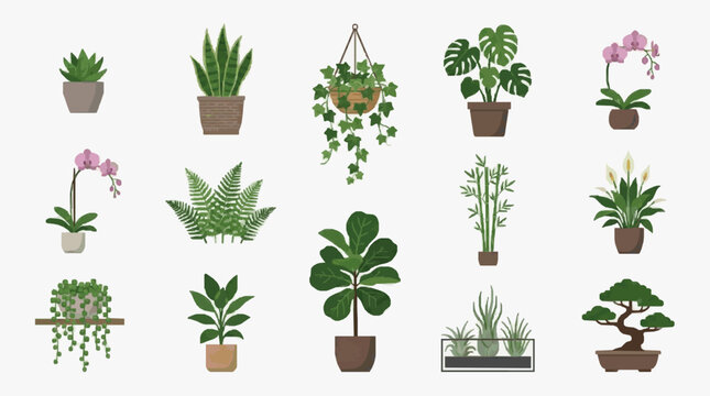 Clean Illustrated Collection of 15 Indoor Plants in Various Pots and Styles for Home Decor with high quality professional line art symbols for modern creative design and digital branding projects