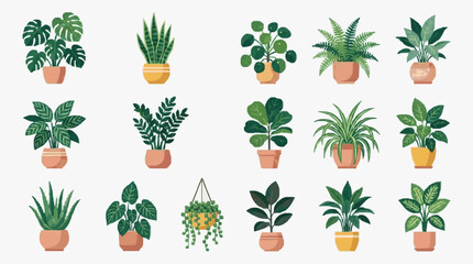Clean Illustrated Collection of 15 Vibrant Potted Houseplants in Terracotta and Yellow Pots with Hanging Plant © ruu