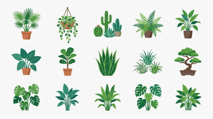 Clean Illustrated Collection of 15 Colorful Indoor Plants in Pots and Hanging Baskets for Home Decor © ruu