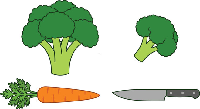 Fresh green broccoli crowns floret orange carrot with leaves and kitchen knife vector illustration set isolated on white background for cooking meal prep concept