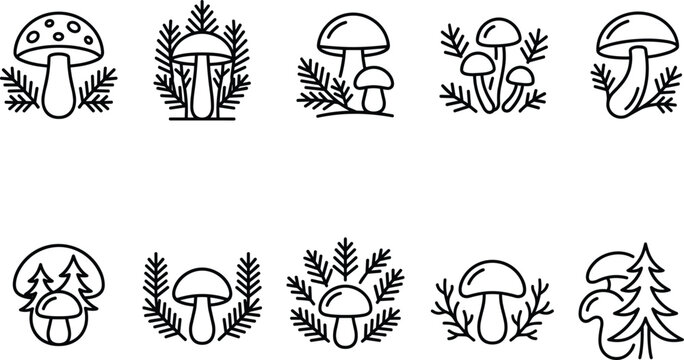 Mushroom and pine sprigs vector silhouettes for organic design isolated on white background