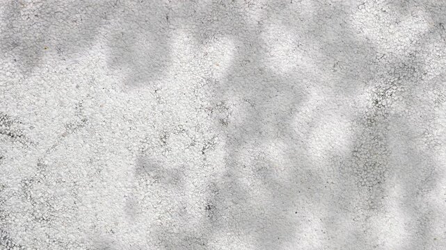 Serene abstract leaves shadow motion on concrete footage video 3d rendering