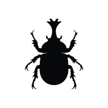 Rhinoceros beetle silhouette vector flat illustration design.