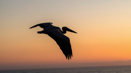 Naklejka premium Silhouette pelican gliding over ocean at sunset with warm orange sky