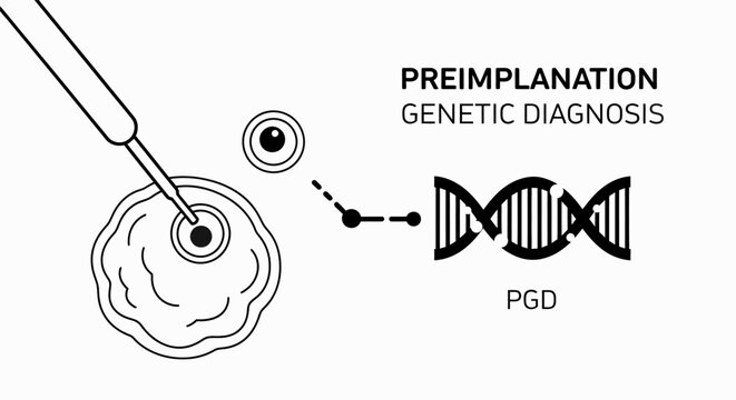 Flat vector illustration of Preimplantation Genetic Diagnosis (PGD), showing cell biopsy for genetic analysis, symbolizing reproductive medicine, biotechnology, and fertility testing.