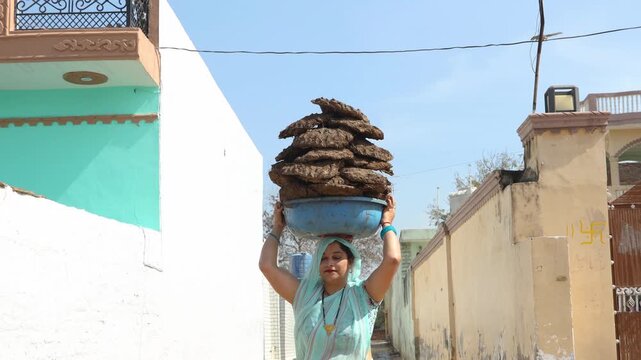 Rural indian woman carrying stack of traditional cow dung cakes ion her head for use as economic fuel. Village life in india.