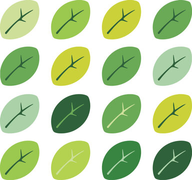 Green leaf pattern background with organic foliage shapes for nature.