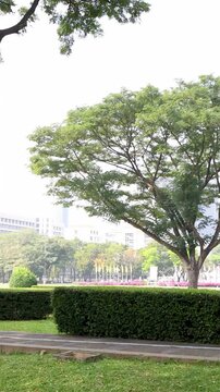 Lush University Campus Park with Fountain and Cityscape Background