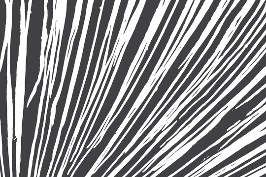 Abstract black and white grunge background . Monochrome vector texture