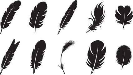 Collection of diverse black bird feather silhouettes presented as a professional flat vector graphic design element for artistic creative projects © Monivara Creations