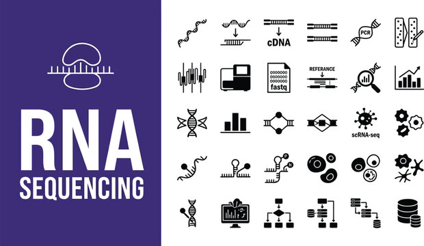 RNA sequencing is explained through these detailed scientific symbols.