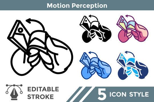 Motion Perception