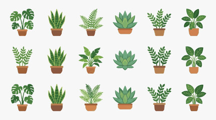 Corporate Collection of 18 Colorful Potted Houseplants for Office or Home Decor Flat with high quality professional line art symbols for modern creative design and digital branding projects © Dodi