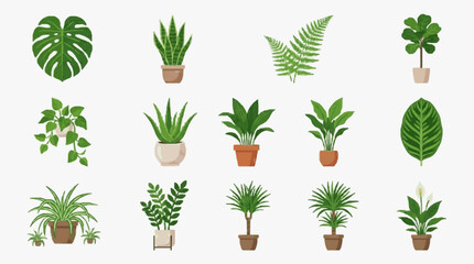 Corporate Collection of 15 Stylish Indoor Houseplants in Modern Pots for Office or Home Decor with high quality professional line art symbols for modern creative design and digital branding projects © Dodi