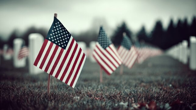Fields of honor american flags memorial tribute respect