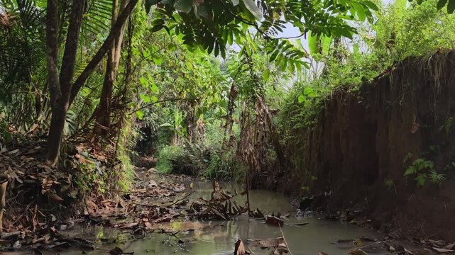 Shallow rocky forest river with low water level during dry season