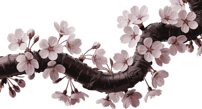 Cherry Blossom Branch: Delicate pink cherry blossoms bloom on a dark, gnarled branch, symbolizing spring's renewal and ephemeral beauty, captured in exquisite detail.
