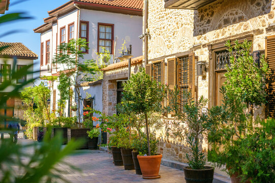 Street planted with greenery in Turkey in the old city