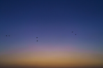 Fototapeta premium Colorful transparent sky without cloud at dusk to sunrise, beautiful background