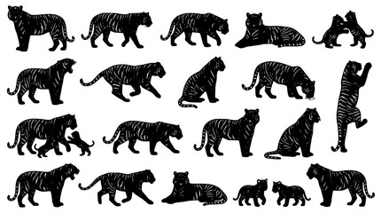 Fototapeta premium Amur Tiger Mega Wildlife Vector Collection with Male Female and Cub Realistic Black Illustration