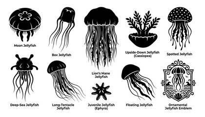 Jellyfish Icon Set with Black Silhouette Designs, Nautical Sea Creatures and Ornate Ornamental Emblem Elements © Afjal12