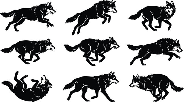 Running wolf silhouette collection, wild canine animal pose bundle, black wildlife vector illustration, isolated white background design