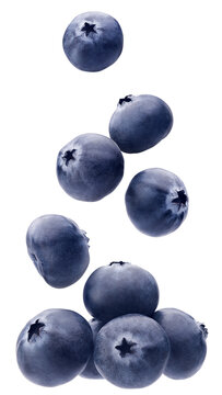 Fresh blueberries isolated