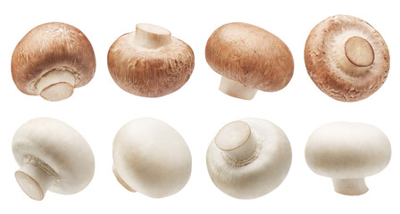 Brown button mushrooms and white button mushrooms isolated © phive2015