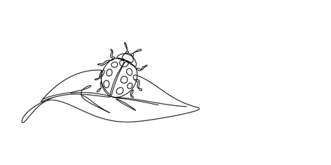 A small ladybug sitting on a single leaf line drawing illustration © JCS Graphic Design 