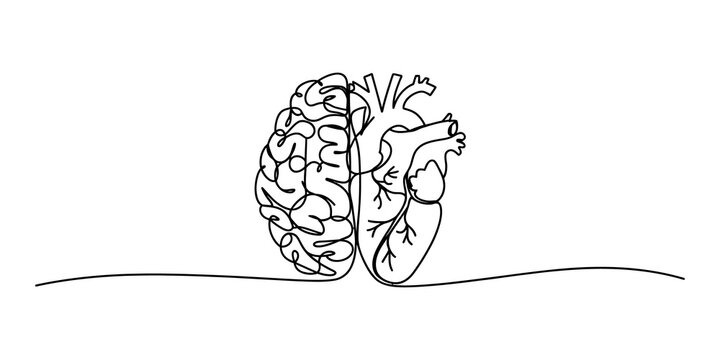 Continuous single line drawing of human brain and heart joined together