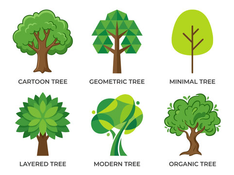 Different types of trees 6.