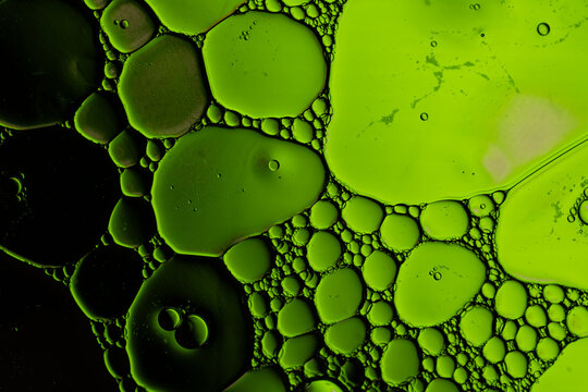 Green oil bubbles floating in liquid create vibrant abstract macro texture with dark contrast