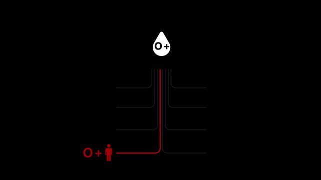 &ldquo;O Positive Blood Donation Compatibility Chart &ndash; Medical Infographic Showing Who O+ Blood Can Donate To and Receive From &ndash; Educational Healthcare Animation for Awareness&rdquo;