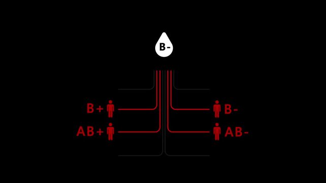 A blood bag labeled B- is at the top (the donor).Lines lead to eight different recipient icons.
