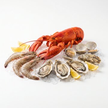 Fresh seafood platter with lobster, oysters, shrimp, and clams isolated on white background