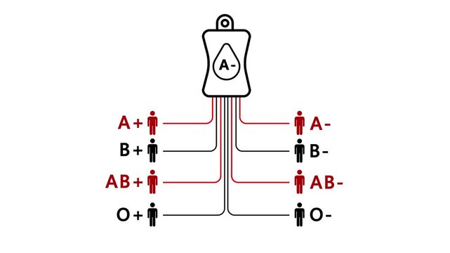 A blood bag labeled A- is at the top (the donor). Lines lead to eight different recipient icons representing all major blood types.
