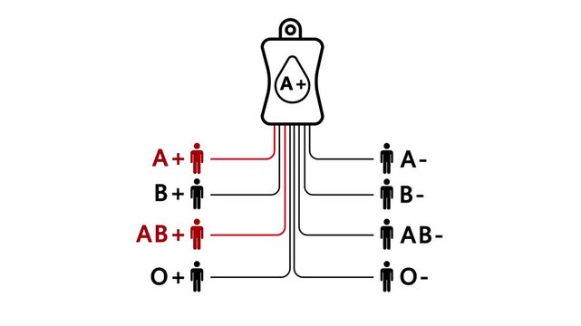 Blood Group Compatibility Charts Video. Donor & Recipient Diagrams for A+, AB+, A-, B-, AB-. Full ABO/Rh Factor Transfusion Infographics.