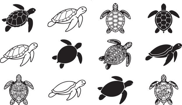Silhouette of sea turtles isolated on transparent background