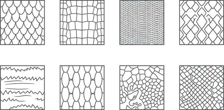 Reptile and Fish Skin Pattern Collection Featuring Snake Scales, Crocodile Texture, Lizard Skin, and Seamless Animal Surface Vector Designs