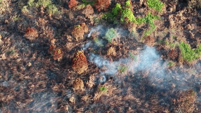 Smoke rises from scorched earth