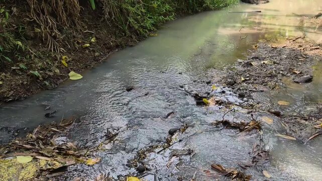 Calm water flowing in small tropical river stream surrounded by nature