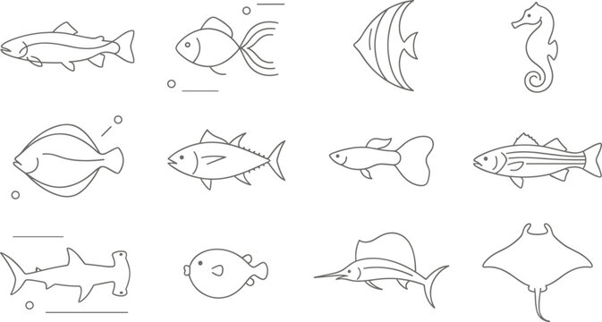 Marine and Freshwater Fish Outline Icon Collection with Shark, Stingray, Swordfish, Seahorse, Tuna, and Tropical Species Editable Vector Set