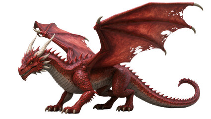 Fototapeta premium Red dragon with large leathery wings and sharp horns