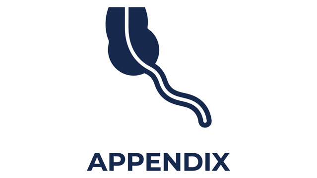 Appendix icon presents a minimalist blue graphic of the human digestive organ structure on a solid white background.