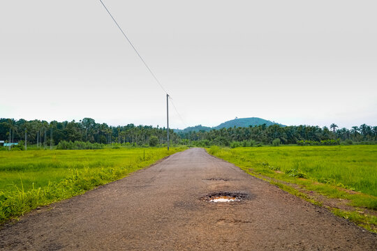 A scenic landscape photograph of a narrow asphalt road winding through lush green paddy fields in Kerala, India, with distant hills and coconut trees under a bright sky.