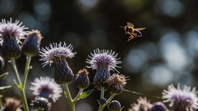 Honey bee view while fly and collect pollen from flower, animal insect wildlife.
