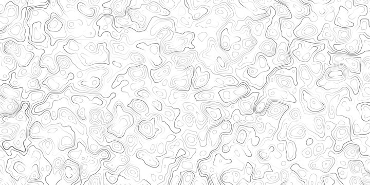Topographic map illustration with contour lines and abstract shapes on white background